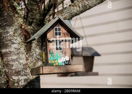 Maisons d'oiseaux suspendues à partir d'un arbre dans un quartier de banlieue. Banque D'Images