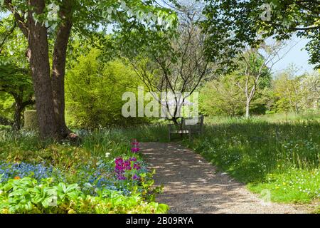 Chemin de gravier à travers les plantes à fleurs printanières, les arbustes et les arbres, dans un jardin anglais dans la campagne rurale sud-est . Banque D'Images