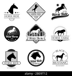 Jeu de logos et d'étiquettes vintage de course à pied mare Vector. Emblème avec étalon de cheval, illustration du logo avec cheval mustang Illustration de Vecteur