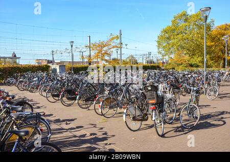 Venlo, Limbourg, Pays-Bas - 13 octobre 2018 : rangées de vélos garés dans la ville néerlandaise près de la gare principale. Vélo de ville. Moyens de transport respectueux de l'environnement. Photo horizontale. Banque D'Images