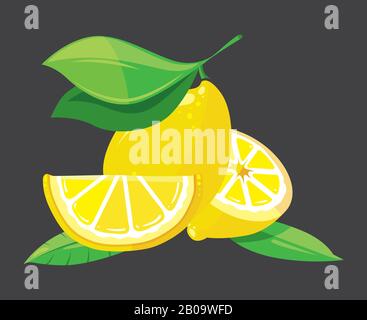 Illustration vectorielle de citrons brillants. Agrumes frais lumineux et bio nature Illustration de Vecteur