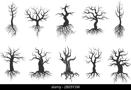 Anciennes silhouettes vectorielles arborescentes avec jeu de vecteurs racines. Tronc d'arbre à silhouette noire avec racine, illustration de l'arbre sec Illustration de Vecteur