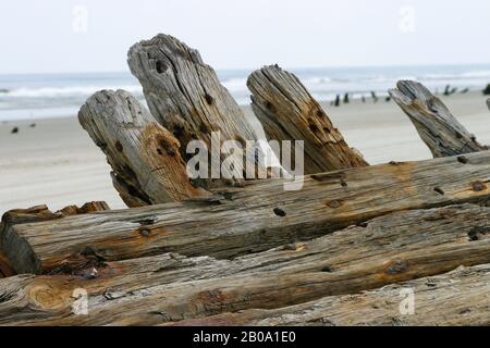 Gros plan, coque en bois vieillie sur la plage. Banque D'Images