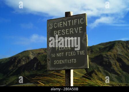 MACQUARIE ISLAND, STATION DE RECHERCHE AUSTRALIENNE Banque D'Images