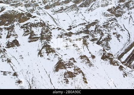 Valley. Himalaya. Ladak, Inde Banque D'Images