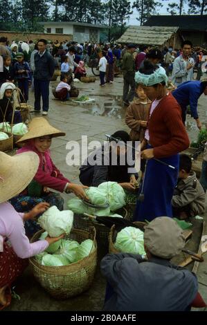 CHINE, PROVINCE DU YUNNAN, XISHUANG BANA, JINGHONG SCÈNE DE MARCHÉ AVEC DES PERSONNES DAI PESANT DU CHOU Banque D'Images