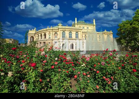 Opera House avec jardin de roses sur le premier plan à Odessa, Ukraine Banque D'Images