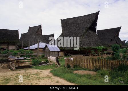 ASIE, INDONÉSIE, SUMATRA, LINGGA, KARO BATAK VILLAGE, MAISONS TRADITIONNELLES Banque D'Images