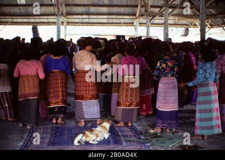 ASIE, INDONÉSIE, SUMATRA, LINGGA, KARO BATAK VILLAGE, RENCONTRE AVEC LES VILLAGES Banque D'Images