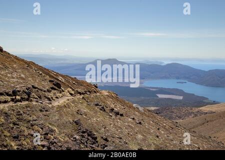 Les gens trekking à travers les prairies dorées au croisement alpin de Tongariro Banque D'Images