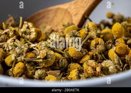 Fleurs de camomille sèches prêtes à la préparation. Banque D'Images