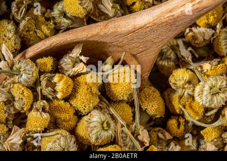 Fleurs de camomille sèches prêtes à la préparation. Banque D'Images