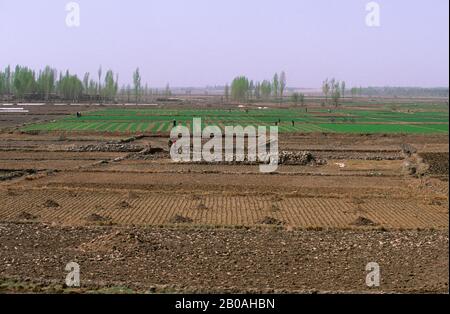 CHINE, PROVINCE DE GANSU, PRÈS DE ZHANGYE, SEMI-DÉSERT, PERSONNES TRAVAILLANT DANS LES CHAMPS Banque D'Images