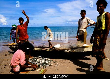 INDONÉSIE, SAWU (SEBA) PÊCHEURS DE L'ÎLE TRIANT LES PRISES SUR LA PLAGE Banque D'Images