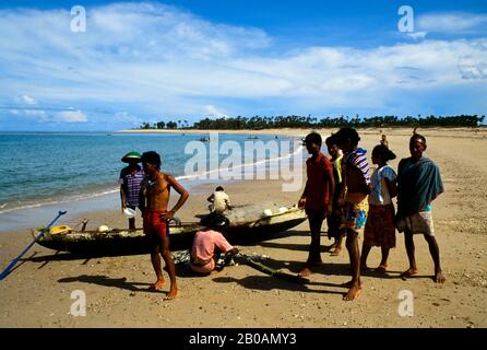 INDONÉSIE, SAWU (SEBA) PÊCHEURS DE L'ÎLE TRIANT LES PRISES SUR LA PLAGE Banque D'Images