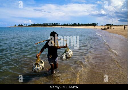 INDONÉSIE, SAWU (SEBA) PÊCHEUR DE L'ÎLE LAVER LE POISSON EN MER Banque D'Images