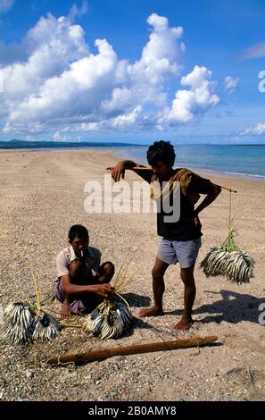 INDONÉSIE, SAWU (SEBA) PÊCHEURS INSULAIRES QUI TRICHENT DES POISSONS SUR LA PLAGE Banque D'Images