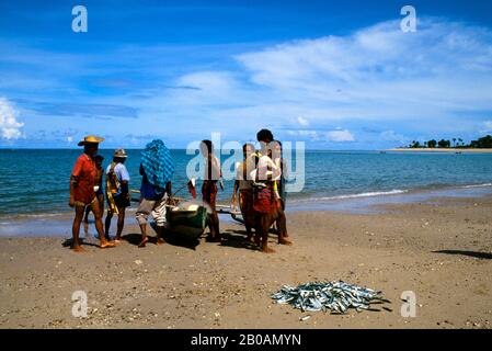 INDONÉSIE, SAWU (SEBA) PÊCHEURS DE L'ÎLE TRIANT LES PRISES SUR LA PLAGE Banque D'Images