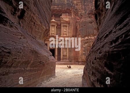 JORDANIE, PETRA, LA GORGE DU SIQ, ENTRÉE DE LA VILLE DE PETRA, VUE SUR LE TRÉSOR, CHAMEAU Banque D'Images