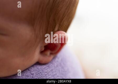 L'oreille de bébé se rapproche d'un tapis Banque D'Images