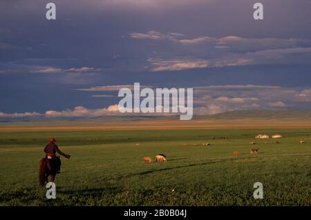 MONGOLIE CENTRALE, PRÈS DE KARAKORUM, PRAIRIES (STEPPES), HOMME LOCAL À CHEVAL (HERDER) Banque D'Images