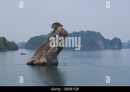 NORD VIETNAM, PRÈS DE HAIPHONG, BAIE DE HALONG, MONTAGNES DE CALCAIRE (KARST) À HAZE, HON CON COC (TOAD ISLET) ROCK Banque D'Images