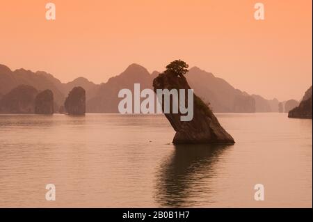 NORD VIETNAM, PRÈS DE HAIPHONG, BAIE DE HALONG, MONTAGNES DE CALCAIRE (KARST) À HAZE, HON CON COC (TOAD ISLET) ROCK, FILTRE Banque D'Images