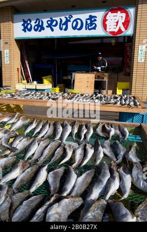 JAPON, ÎLE D'HOKKAIDO, PRÈS DU LAC MASHU, SÉCHAGE DU POISSON DANS UN PETIT VILLAGE Banque D'Images