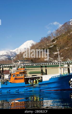 JAPON, ÎLE HOKKAIDO, RAUSU, PORT DE PÊCHE AVEC BATEAUX DE PÊCHE, MT. RAUSU EN ARRIÈRE-PLAN Banque D'Images