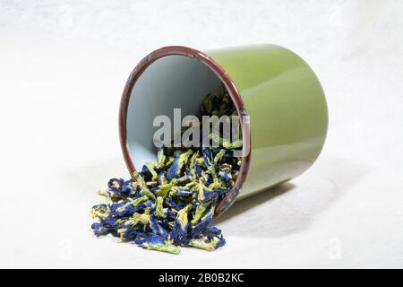 Fleurs bleues de thé blanc de papillon (Clitoria Ternatea) dans une tasse en émail Banque D'Images