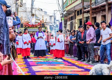 Santiago Atitlan, Guatemala - 19 avril 2019: Les éternuements de chien en vue sur le tapis de sciure de bois teint devant La procession Du Vendredi Saint Dans la ville de Lake Atitlan. Banque D'Images