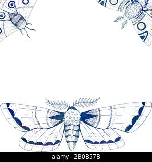 Papillon à encre dessinée à la main au cadre bleu. Cadre de modèle Banque D'Images