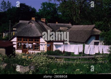 ALLEMAGNE DE L'EST, ILE RUGEN, VILLAGE DE VITT, PRÈS DU CAP ARKONA, MAISONS COUVERTES DE ROSEAU, BLANCHISSERIE Banque D'Images