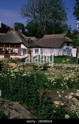 ALLEMAGNE DE L'EST, ILE RUGEN, VILLAGE DE VITT, PRÈS DU CAP ARKONA, MAISONS COUVERTES DE ROSEAU, BLANCHISSERIE Banque D'Images