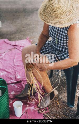 Ancien panier à tisser femelle sur l'atelier d'artisanat. Mains tenant l'artisanat, gros plan. Banque D'Images