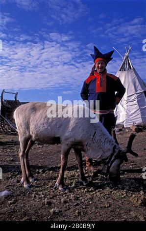 NORVÈGE, PRÈS DE HONNINGSVAG, SAMI MAN (LAPANDER) AVEC RENNE Banque D'Images