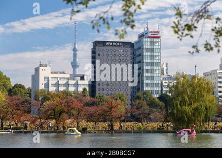 Bassin Shinobazu dans le parc Ueno et Tokyo Skytree, Tokyo, Japon Banque D'Images