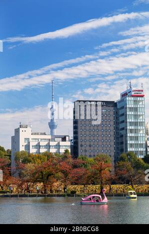 Bassin Shinobazu dans le parc Ueno et Tokyo Skytree, Tokyo, Japon Banque D'Images