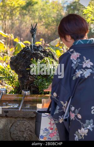 Femme dans un kimono au temple Bentendo sur l'étang de Shinobazu dans le parc Ueno, Tokyo, Japon Banque D'Images