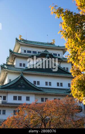 Château de Nagoya, Nagoya, Japon Banque D'Images