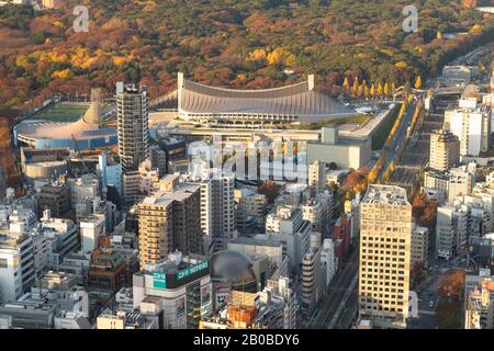 Yoyogi National Stadium Et Yoyogi Park, Tokyo, Japon Banque D'Images