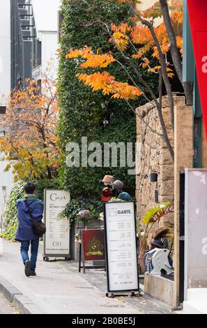 Homme marchant devant les magasins, Harajuku, Tokyo, Japon Banque D'Images