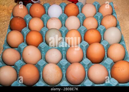 Œufs de poulet bio colorés dans un carton d'œufs. Ces œufs ont été produits en petits lots par différents types de poulet, ils sont apparus en différents morceaux Banque D'Images