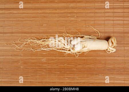 Ginseng, gros plan Banque D'Images