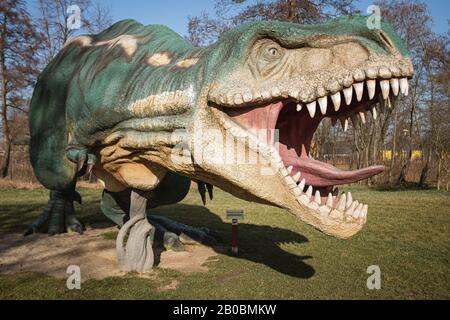 Lubin, POLOGNE - 8 FÉVRIER 2020 - modèle Réaliste du dinosaure Tyranosaurus Rex dans le parc Wroclawski. Le parc est une attraction touristique bien connue pour les enfants Banque D'Images