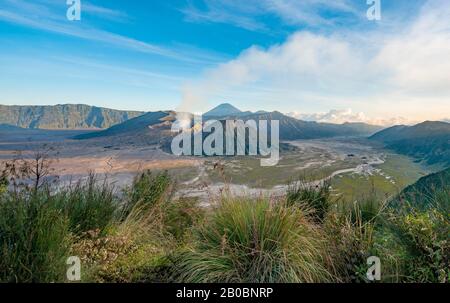 Vue sur le paysage volcanique, les volcans, le volcan fumeur Gunung Bromo, Mt. Batok, Mt. Kursi, Mt. Gunung Semeru, Parc National De Bromo-Tengger-Semeru Banque D'Images