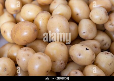 Un lot de pommes de terre anglaises cuites à la vapeur à utiliser dans la cuisine brésilienne pour la production de salades de mayonnaise, un plat très populaire au Brésil. Nourriture humaine Banque D'Images