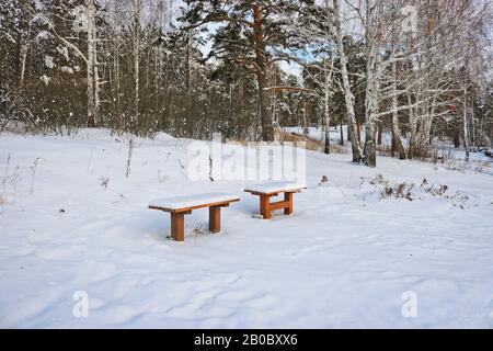 Deux bancs enneigés dans un parc d'hiver. Le concept de solitude d'hiver. Banque D'Images