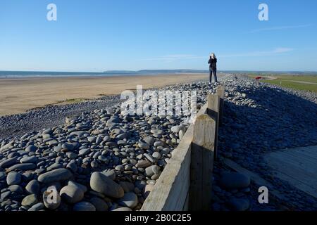 Femme A Pris une photo sur une crête de galet au-dessus de la plage à Westward Ho! Sur le sentier côtier sud-ouest, North Devon, Angleterre, Royaume-Uni. Banque D'Images