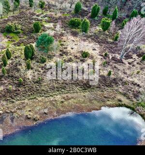 Gros plan sur le petit lac bleu dans la bruyère dans la tourbière avec bruyère sur la rive Banque D'Images